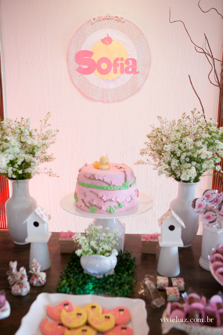 decoracao de festa infantil em brasilia com fotos da vivi e luiz fotografias