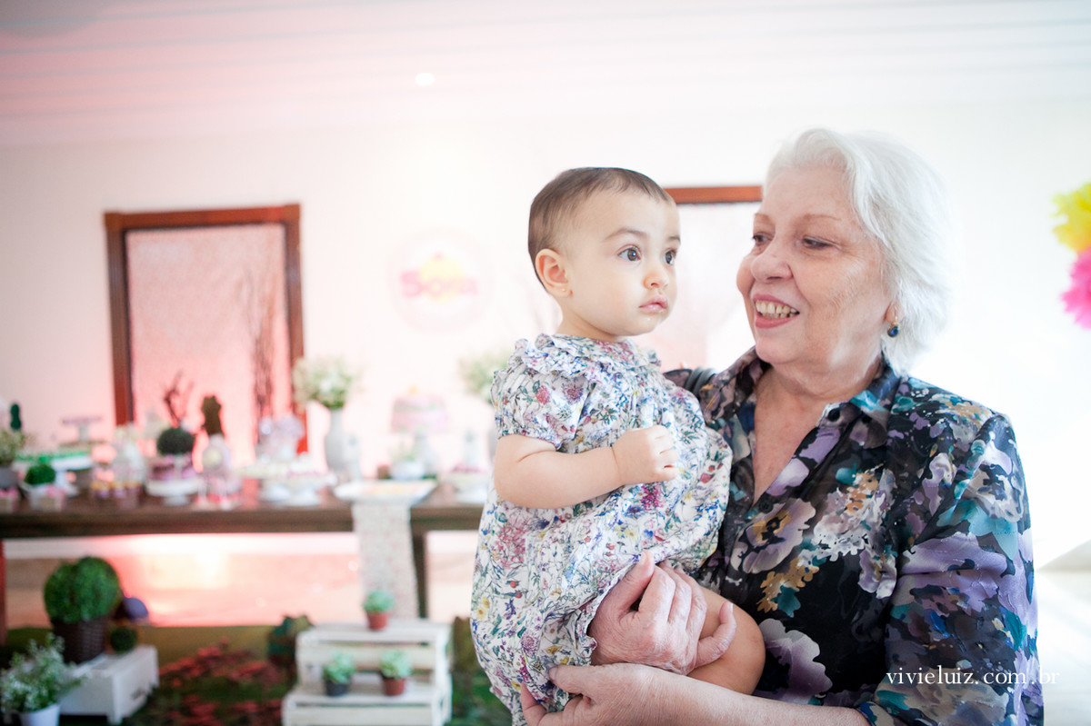 festa infantil em brasilia com fotos de vivi e luiz