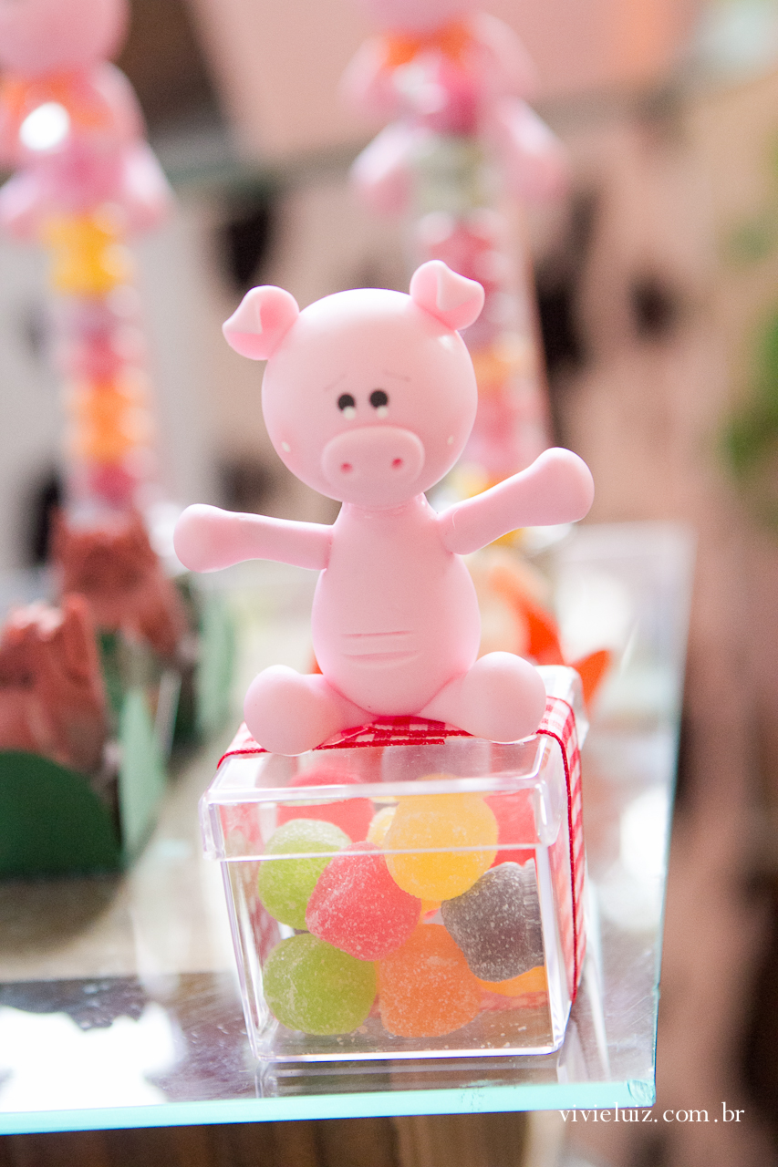 decoracao de festa infantil em brasilia com fotos da vivi e luiz fotografias fazendinha