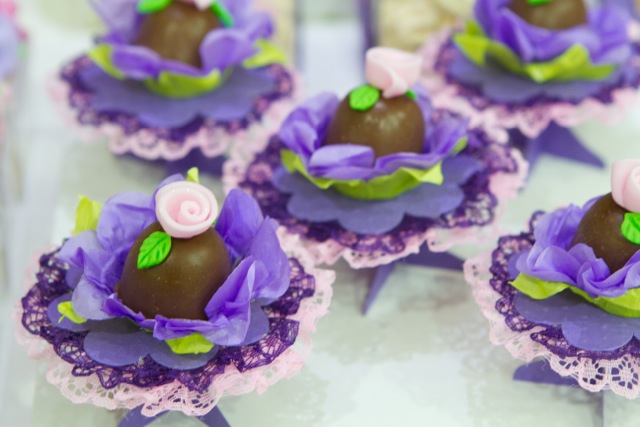 decoracao de festa infantil em brasilia com fotos da vivi e luiz fotografias rapunzel
