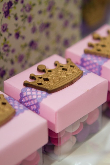 decoracao de festa infantil em brasilia com fotos da vivi e luiz fotografias rapunzel