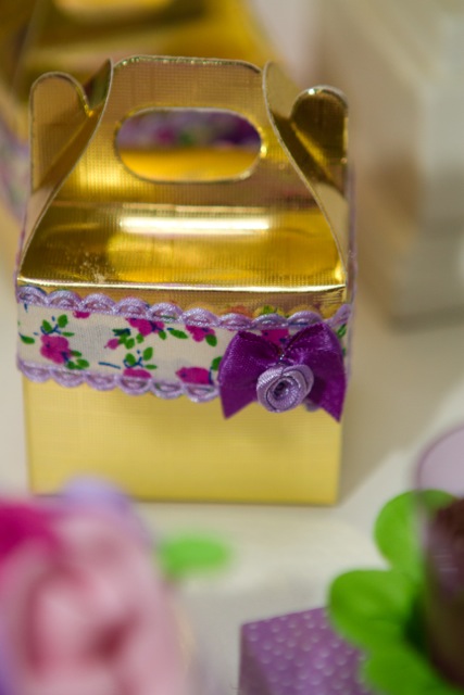 decoracao de festa infantil em brasilia com fotos da vivi e luiz fotografias rapunzel