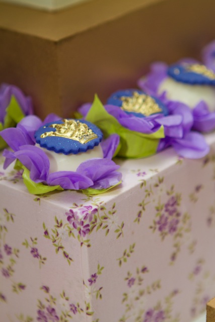 decoracao de festa infantil em brasilia com fotos da vivi e luiz fotografias rapunzel