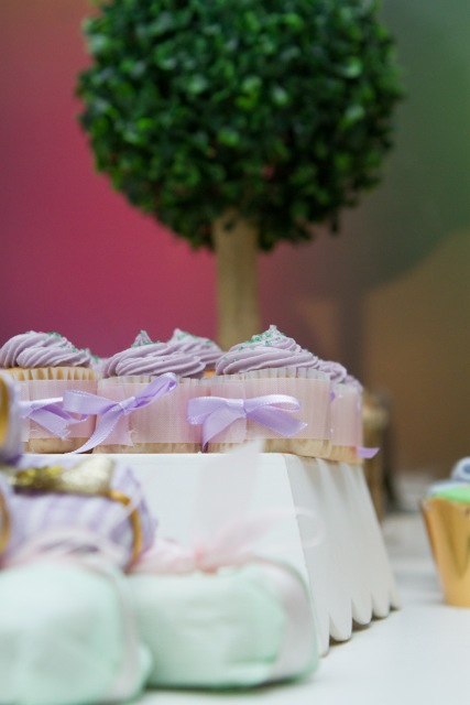 decoracao de festa infantil em brasilia com fotos da vivi e luiz fotografias rapunzel