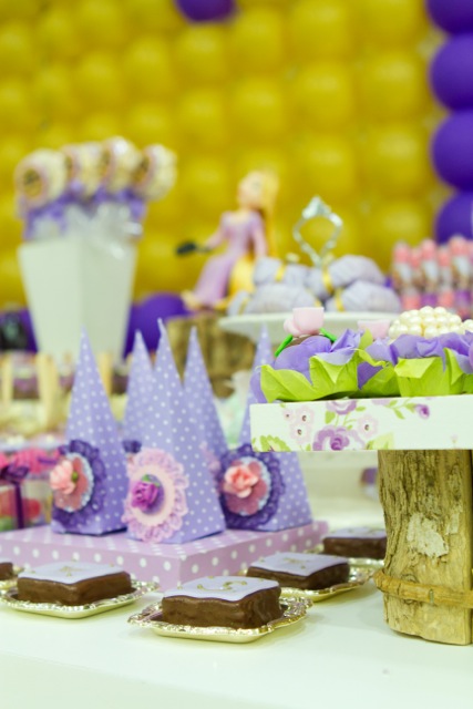 decoracao de festa infantil em brasilia com fotos da vivi e luiz fotografias rapunzel