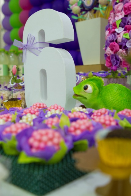 decoracao de festa infantil em brasilia com fotos da vivi e luiz fotografias rapunzel