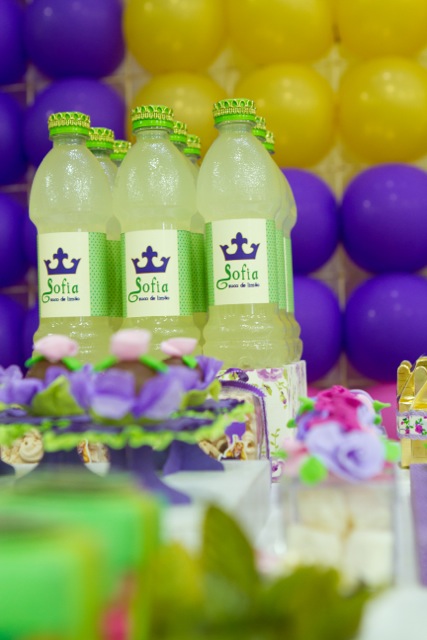 decoracao de festa infantil em brasilia com fotos da vivi e luiz fotografias rapunzel