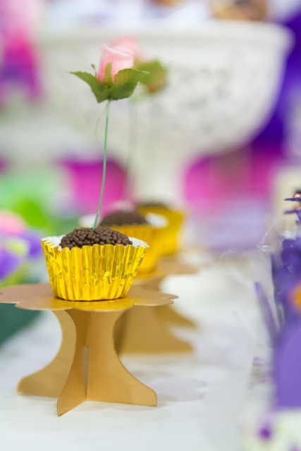 decoracao de festa infantil em brasilia com fotos da vivi e luiz fotografias rapunzel