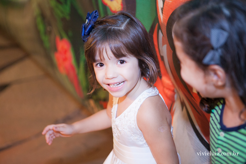 aniversario infantil por vivi e luiz fotografias