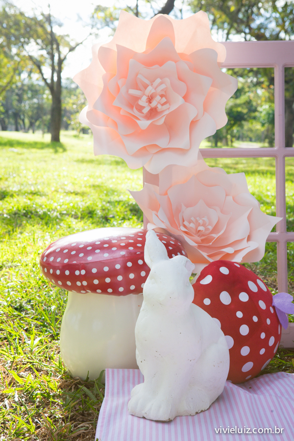Decoracao do ensaio de 1 ano por vivi e luiz fotografias