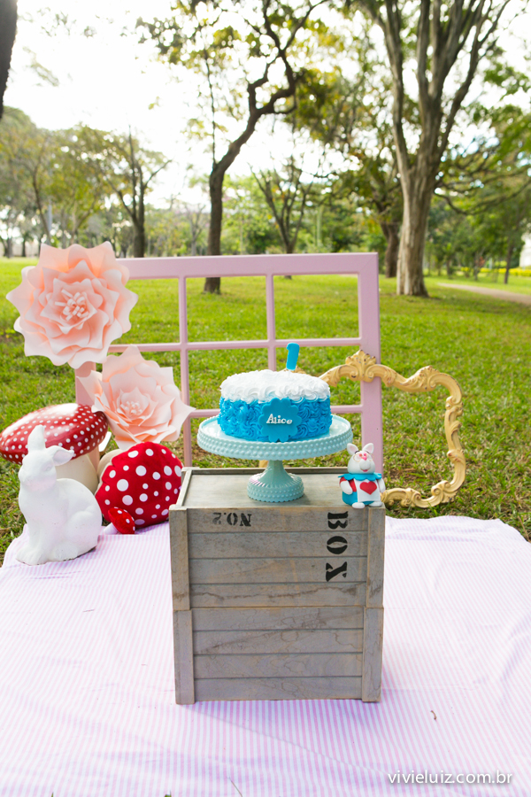 Decoracao do ensaio de 1 ano por vivi e luiz fotografias