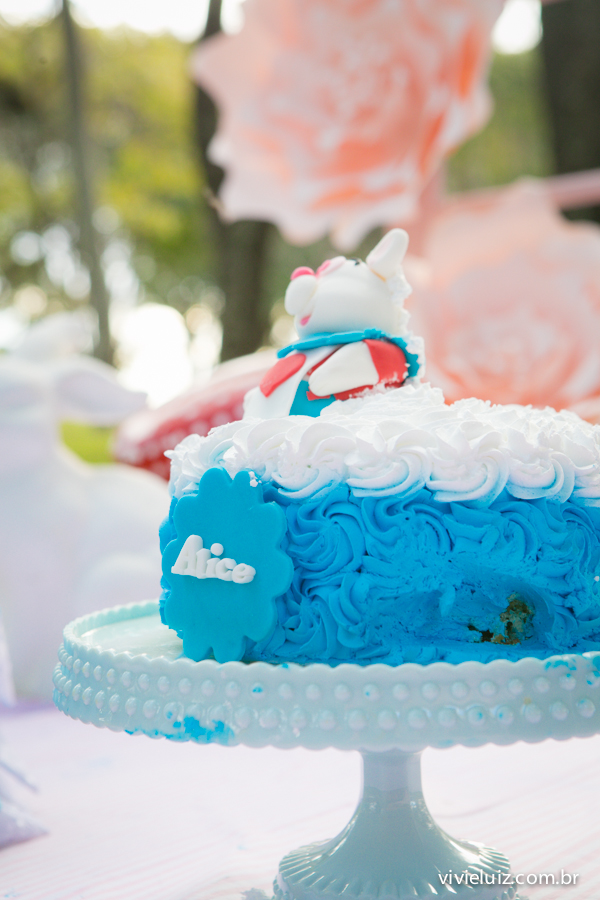 smah the cake com fotos de vivi e luiz fotografias em Brasília