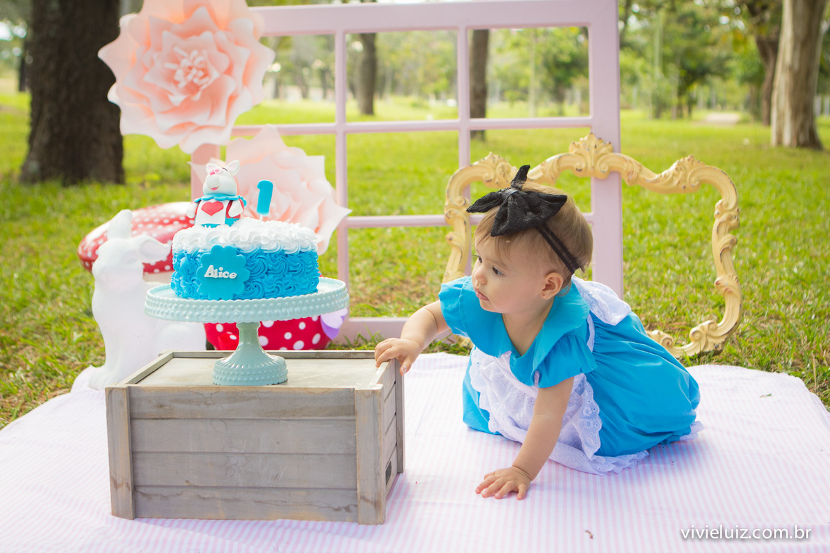 Ensaio fotografico de 1 ano e familia por vivi e luiz fotografias em brasilia