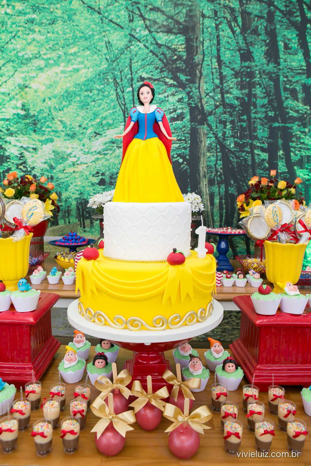decoracao de festa infantil em brasilia com fotos da vivi e luiz fotografias