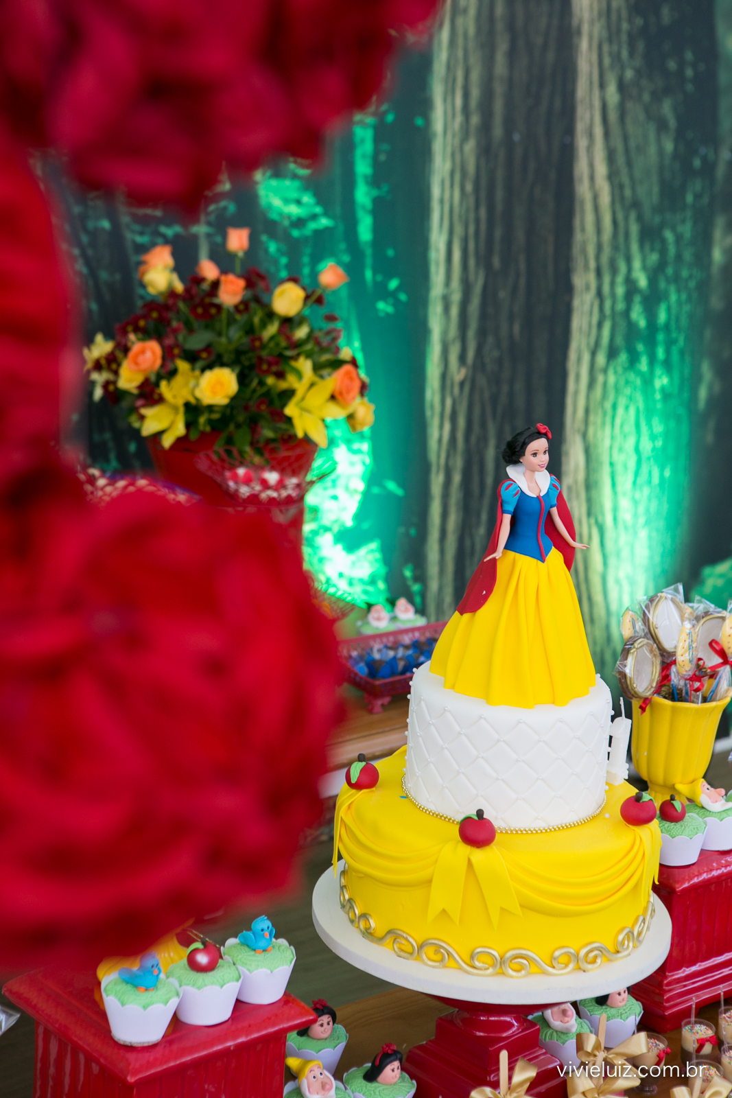 decoracao de festa infantil em brasilia com fotos da vivi e luiz fotografias branca de neve