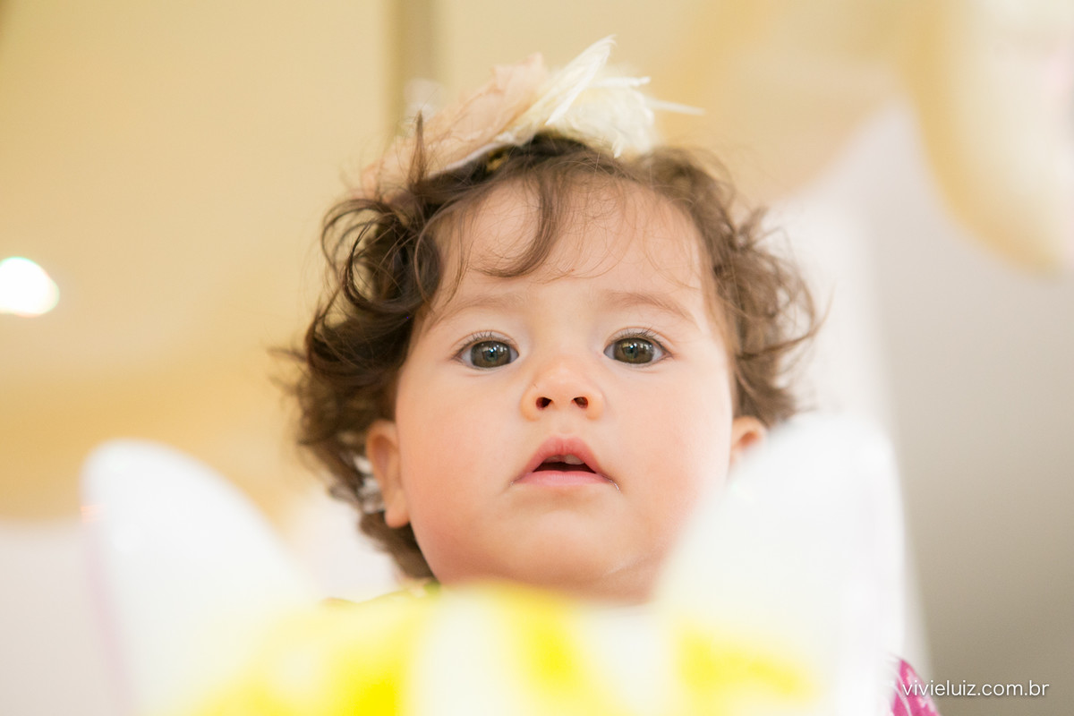 festa infantil em brasilia com fotos de vivi e luiz