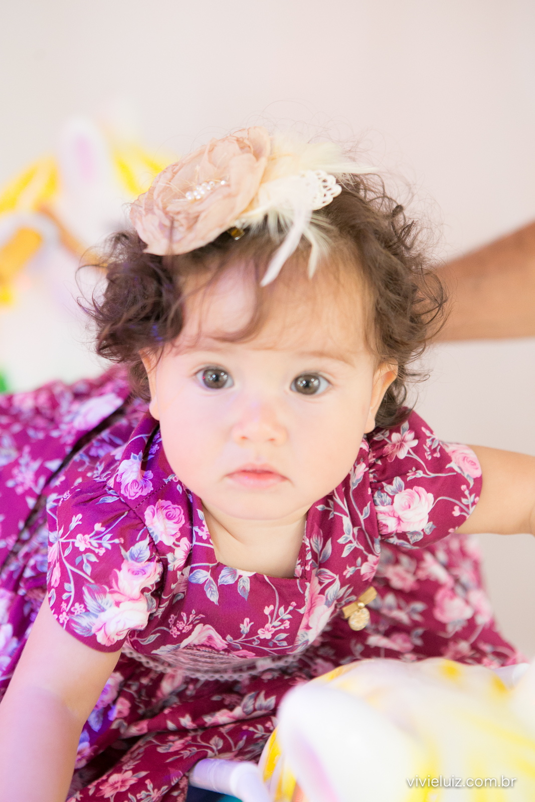 festa infantil em brasilia com fotos de vivi e luiz