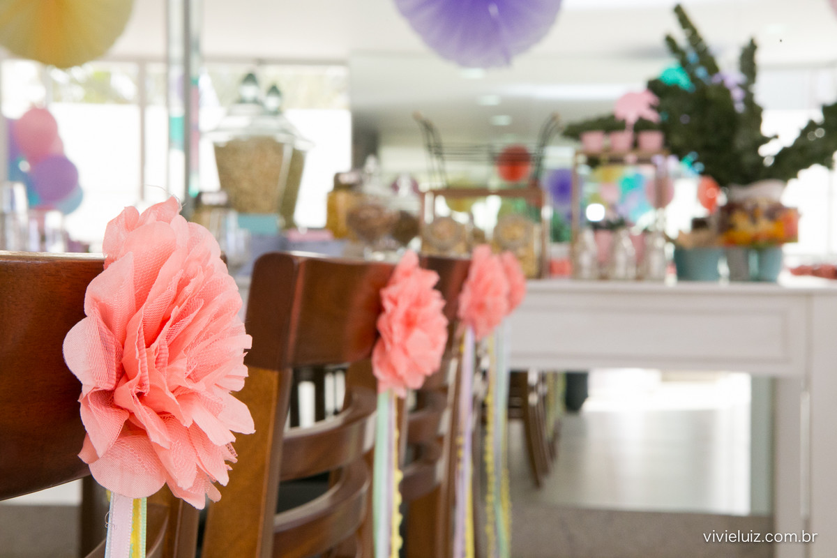 decoracao de festa infantil em brasilia com fotos da vivi e luiz fotografias