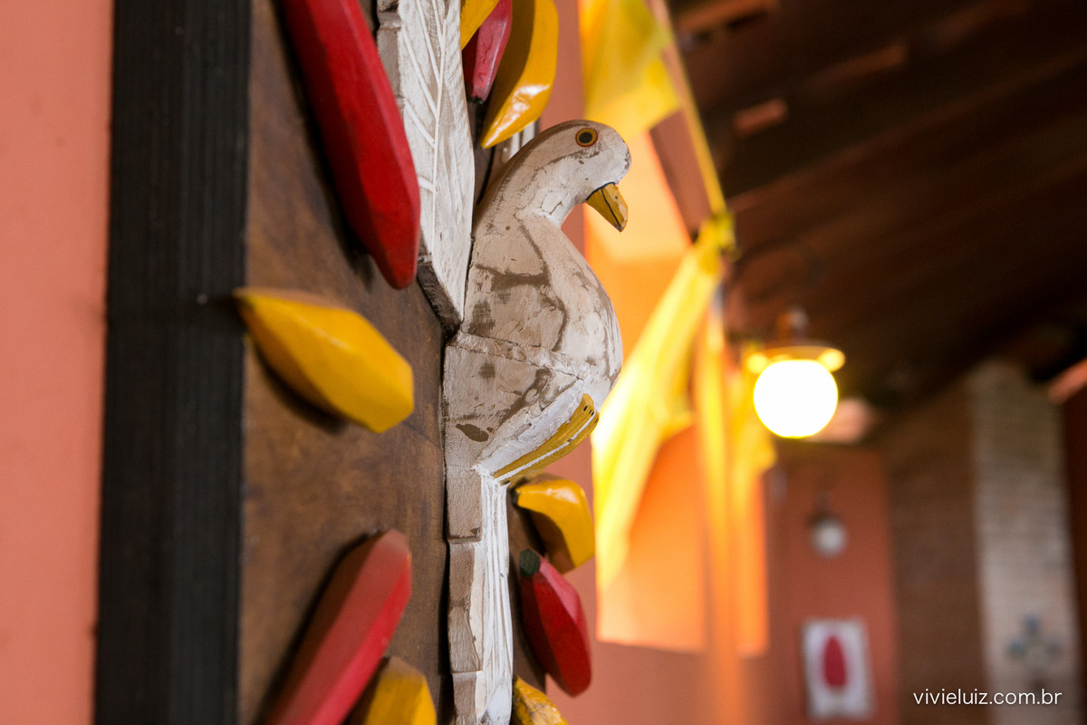 decoracao de festa infantil em brasilia com fotos da vivi e luiz fotografias