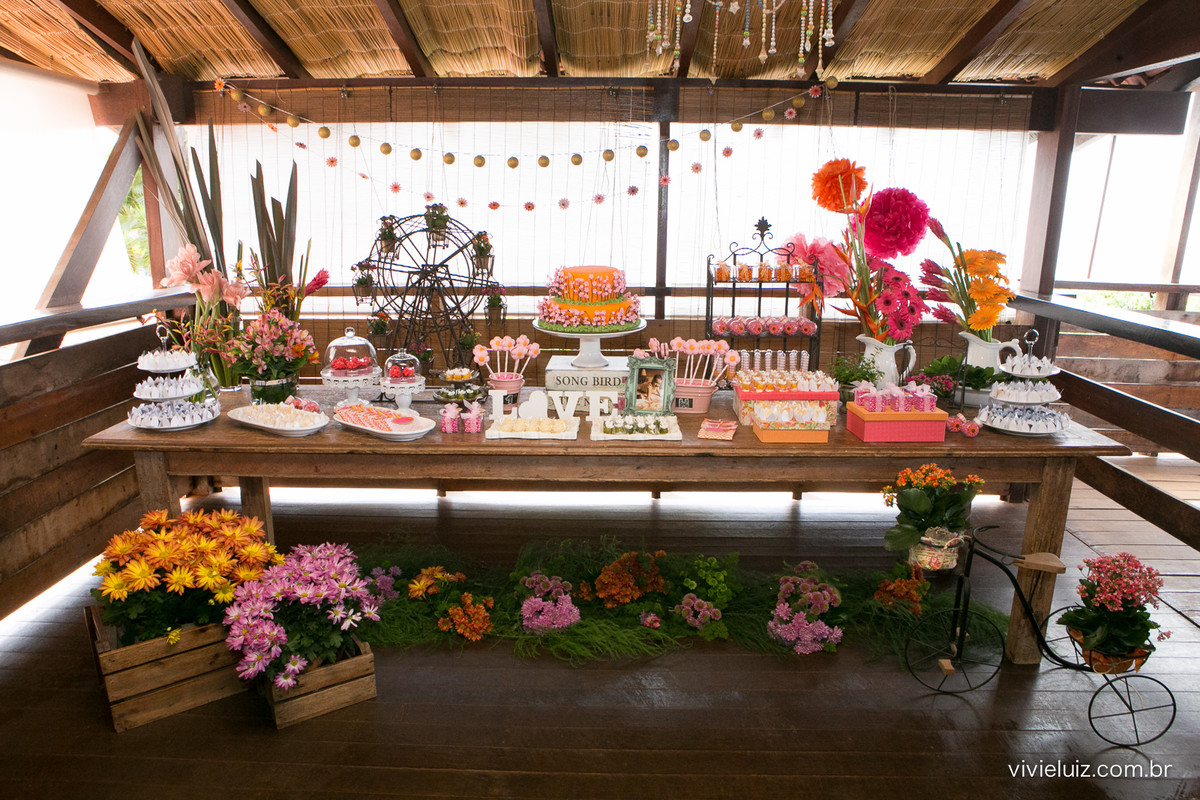 decoracao de festa infantil em brasilia com fotos da vivi e luiz fotografias