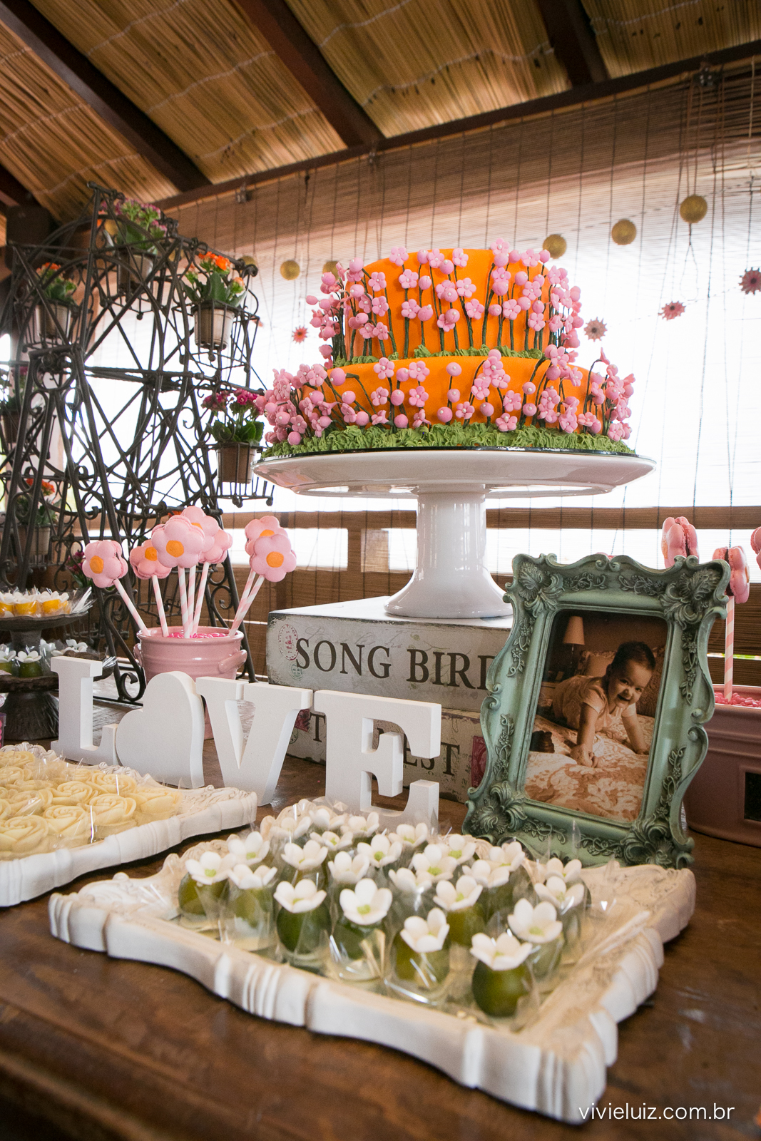decoracao de festa infantil em brasilia com fotos da vivi e luiz fotografias