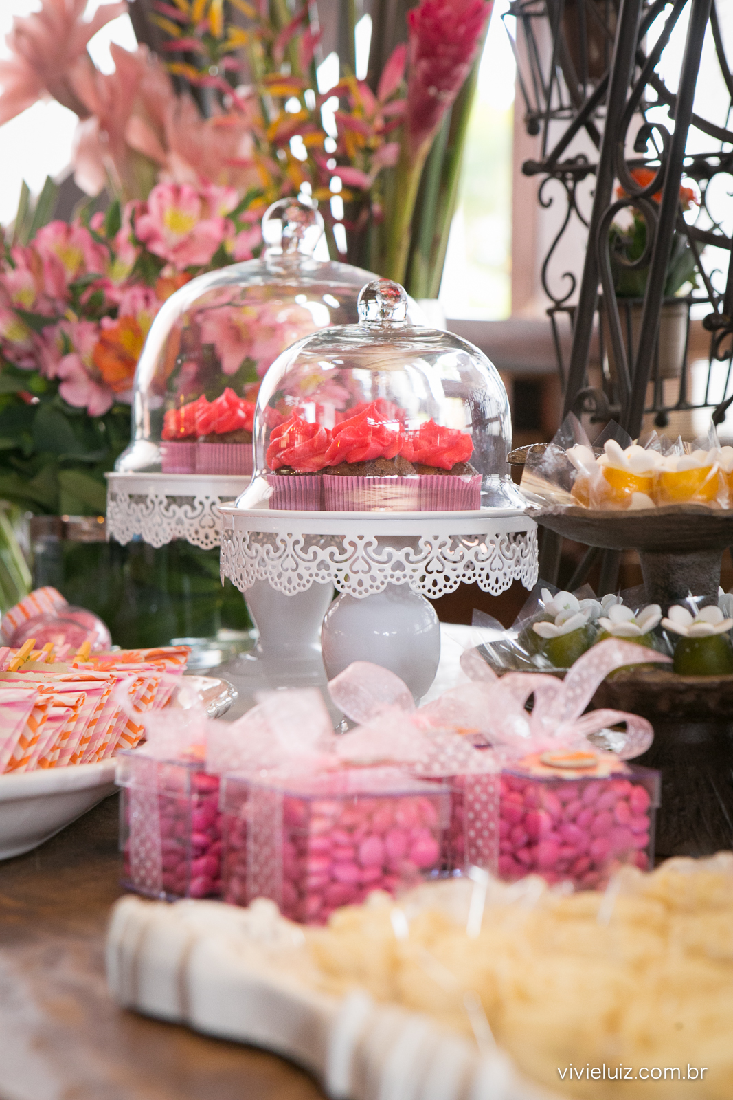 decoracao de festa infantil em brasilia com fotos da vivi e luiz fotografias