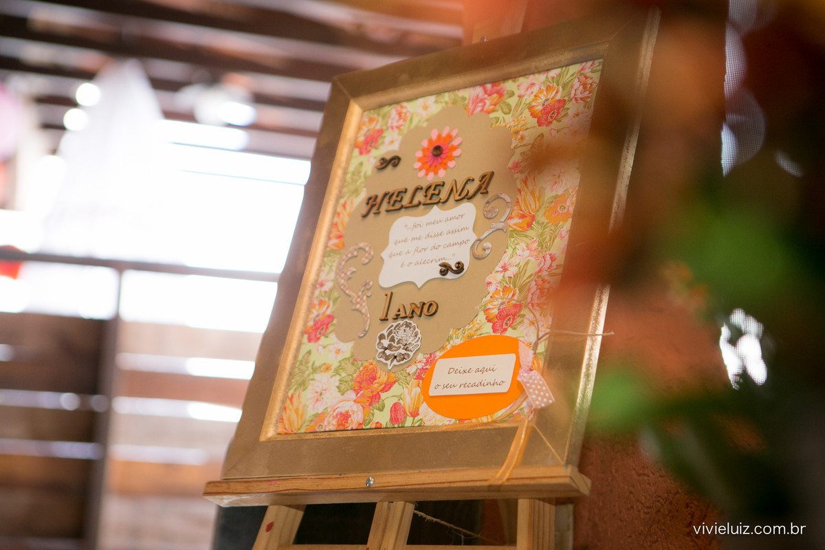decoracao de festa infantil em brasilia com fotos da vivi e luiz fotografias