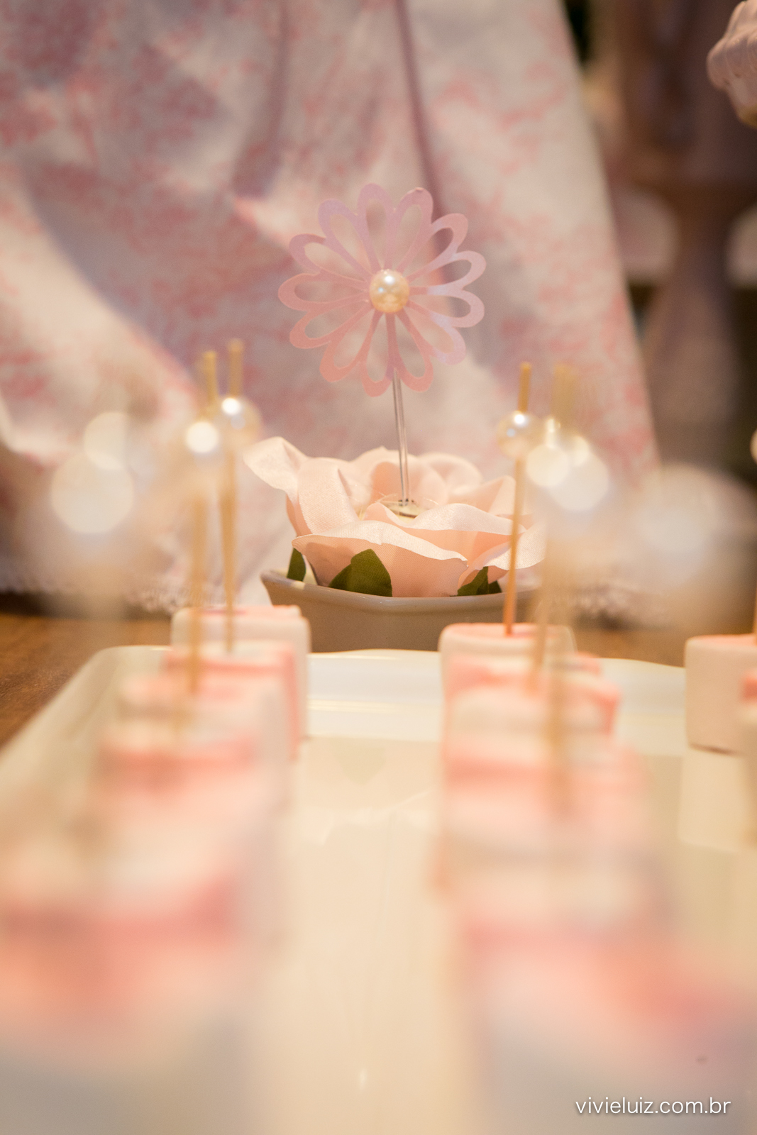 decoracao de festa infantil em brasilia com fotos da vivi e luiz fotografias