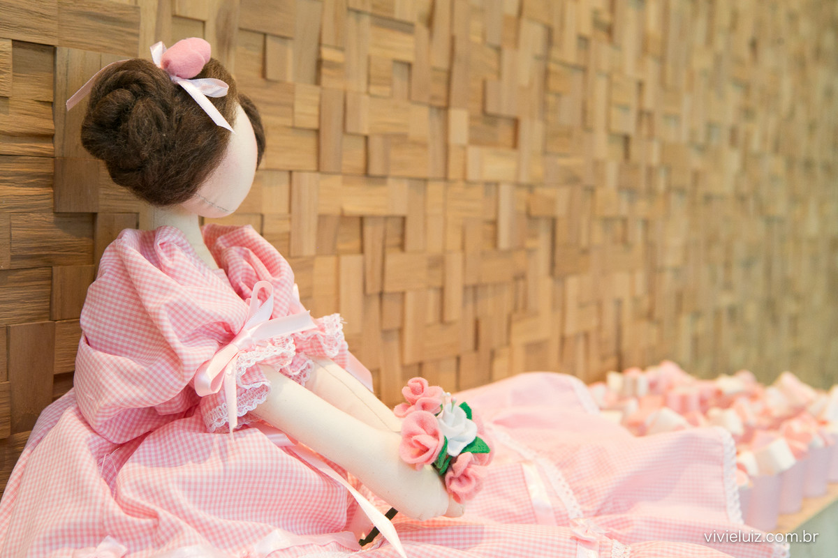 decoracao de festa infantil em brasilia com fotos da vivi e luiz fotografias