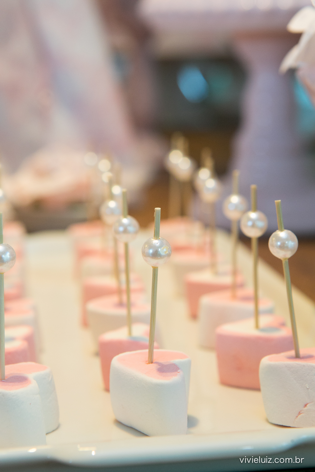 decoracao de festa infantil em brasilia com fotos da vivi e luiz fotografias