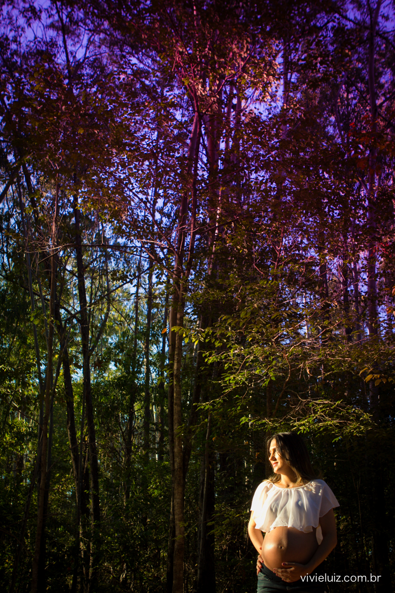 fotos de gestante por vivi e luiz fotografias