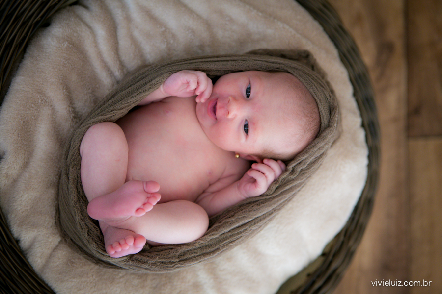 fotos de newborn em brasilia
