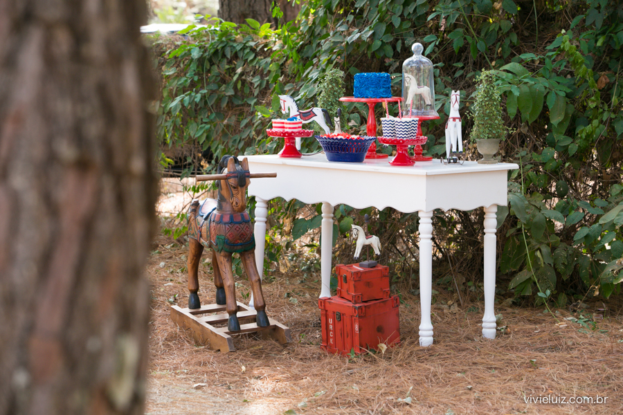 decoracao de festa infantil em brasilia com fotos da vivi e luiz fotografias