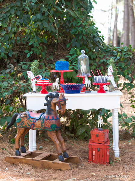 decoracao de festa infantil em brasilia com fotos da vivi e luiz fotografias