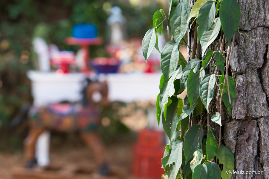 decoracao de festa infantil em brasilia com fotos da vivi e luiz fotografias