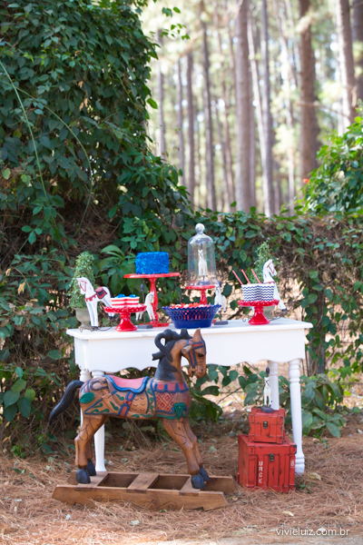 decoracao de festa infantil em brasilia com fotos da vivi e luiz fotografias