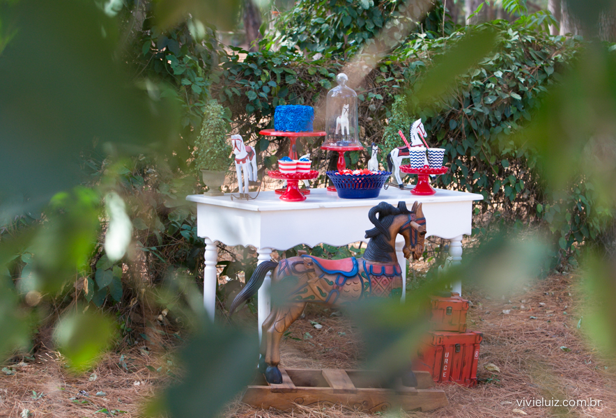 decoracao de festa infantil em brasilia com fotos da vivi e luiz fotografias