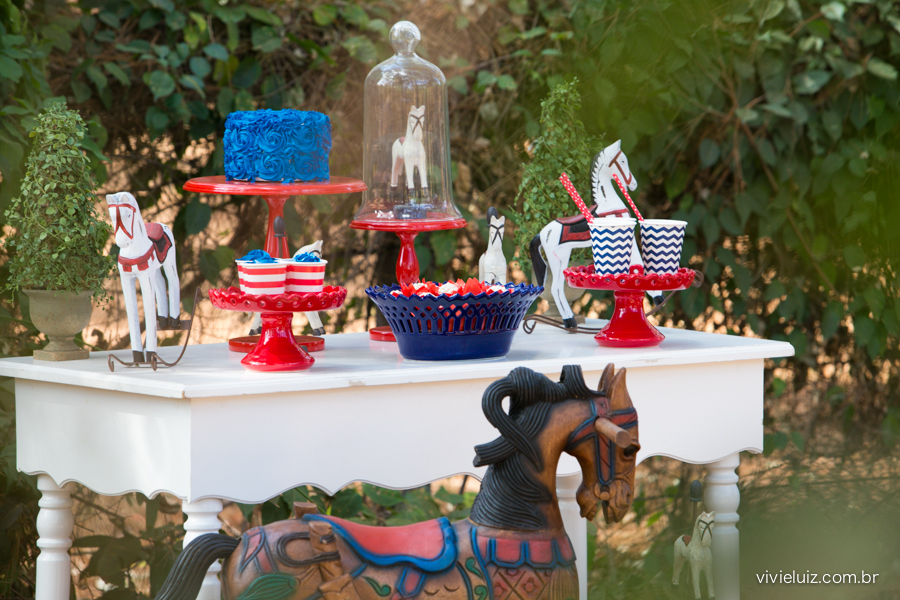 decoracao de festa infantil em brasilia com fotos da vivi e luiz fotografias