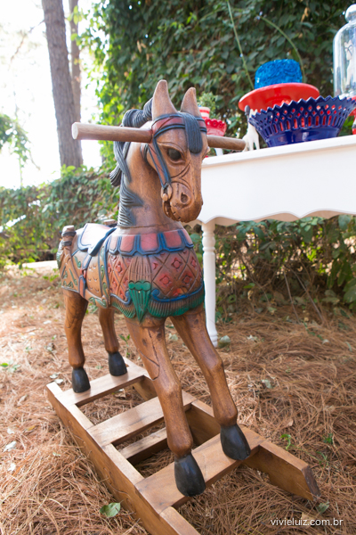 decoracao de festa infantil em brasilia com fotos da vivi e luiz fotografias