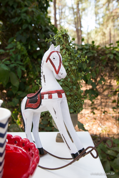 decoracao de festa infantil em brasilia com fotos da vivi e luiz fotografias