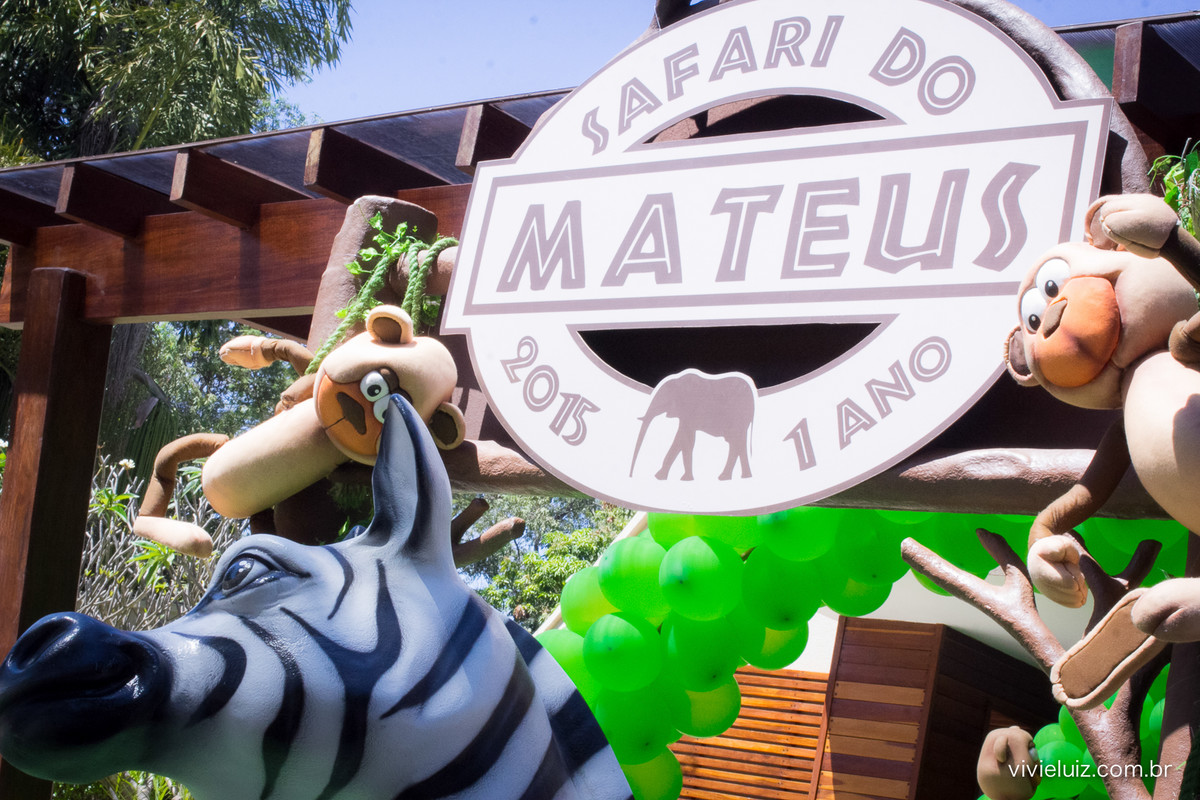 decoracao de festa infantil em brasilia com fotos da vivi e luiz fotografias