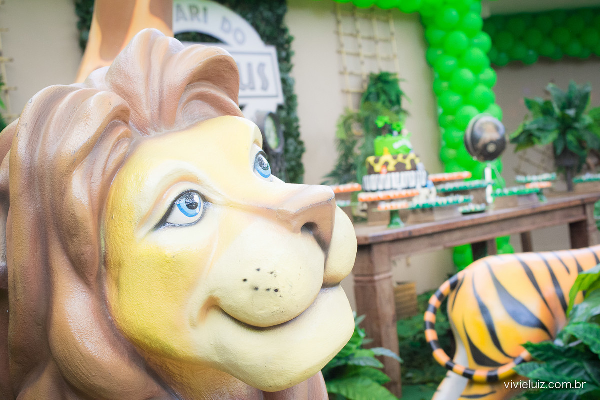 decoracao de festa infantil em brasilia com fotos da vivi e luiz fotografias