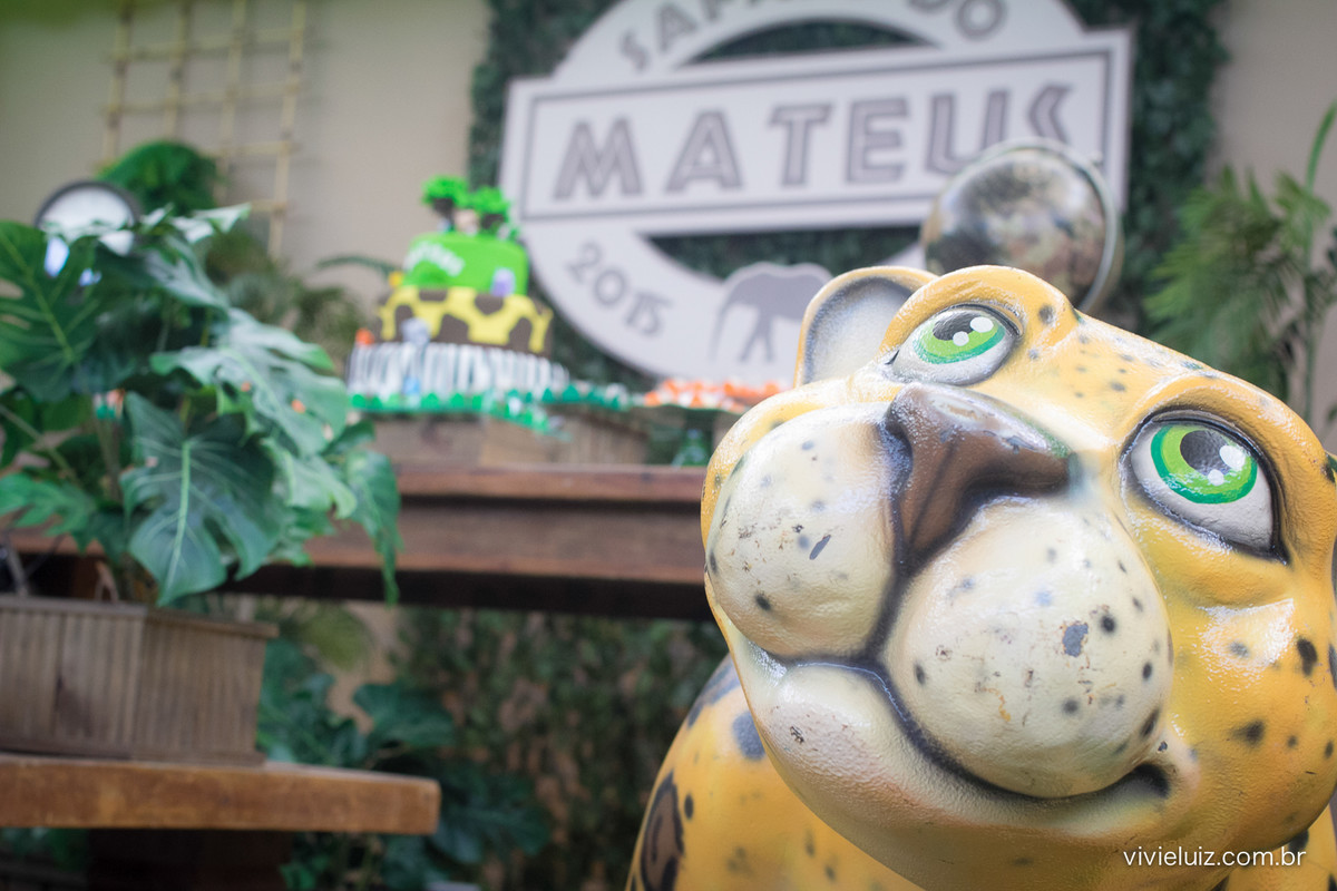 decoracao de festa infantil em brasilia com fotos da vivi e luiz fotografias