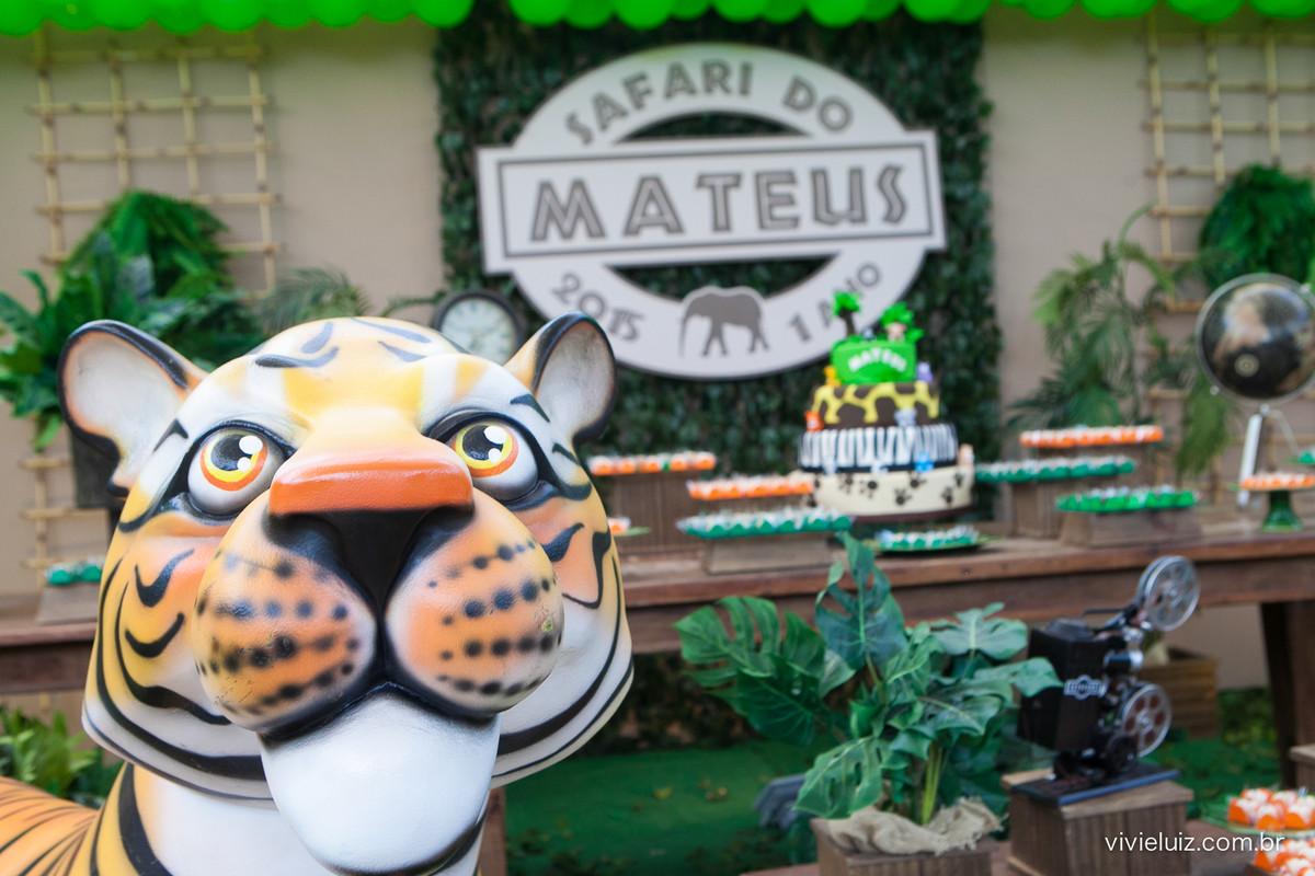 decoracao de festa infantil em brasilia com fotos da vivi e luiz fotografias
