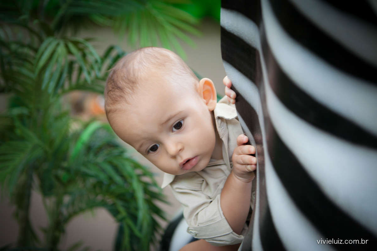 aniversario infantil por vivi e luiz fotografias
