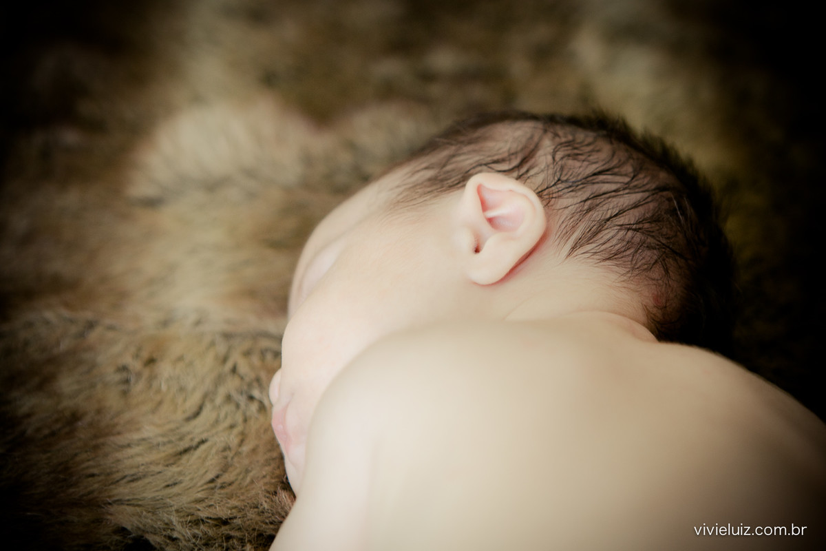 newborn com fotos de vivi e luiz fotografias