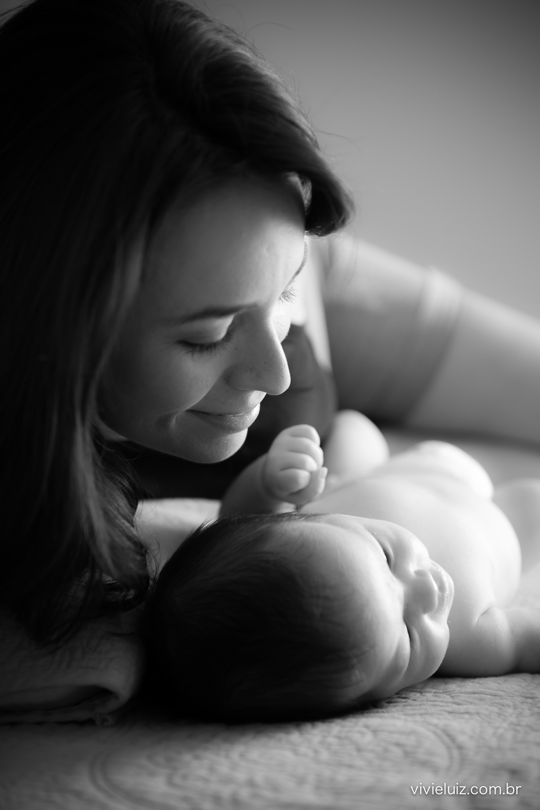 newborn com fotos de vivi e luiz fotografias