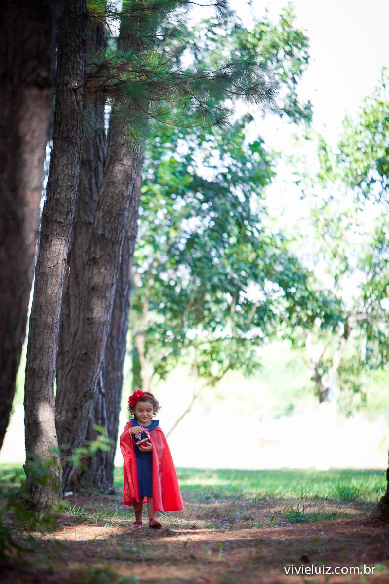 Chapeuzinho vermelho