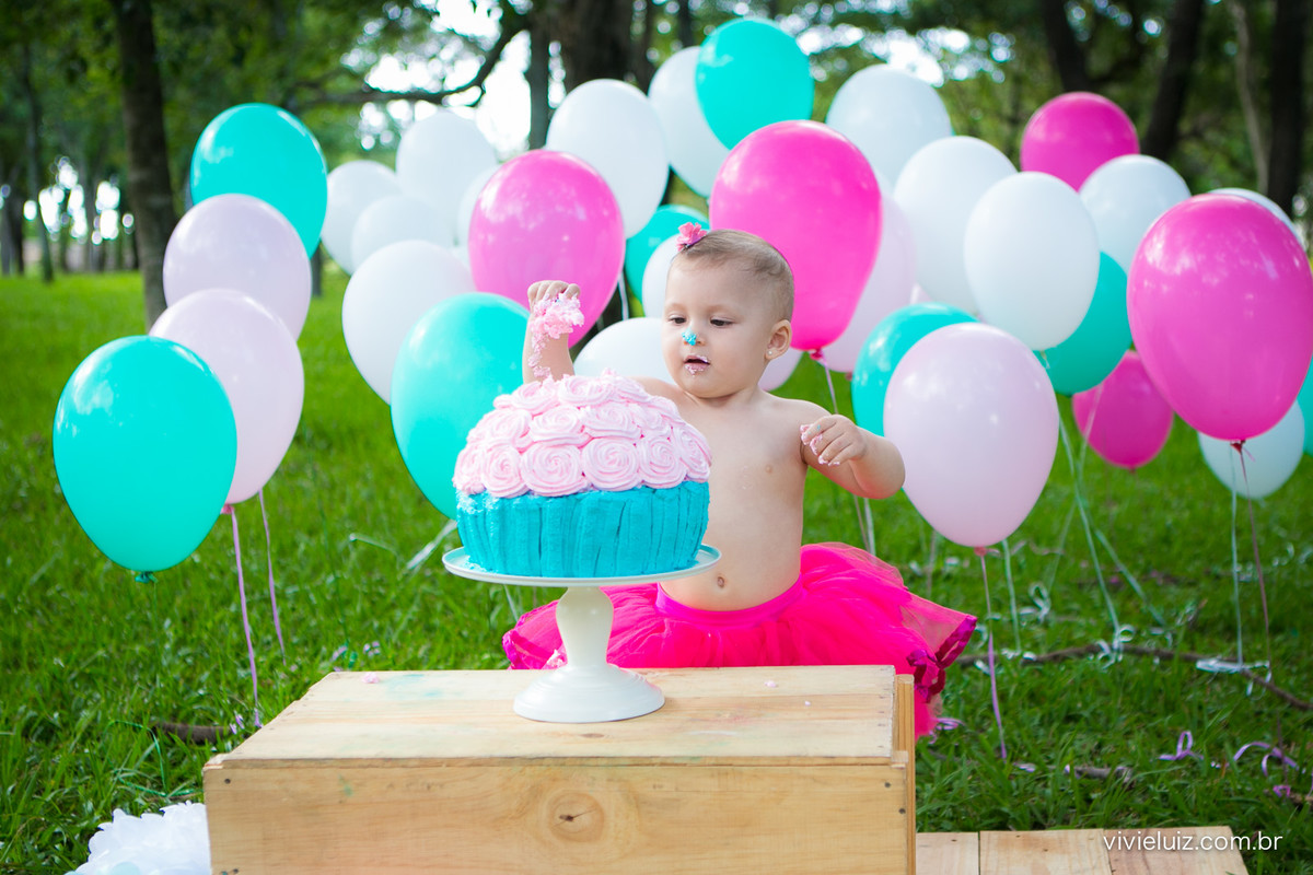 Smash the cake Rosa e Azul