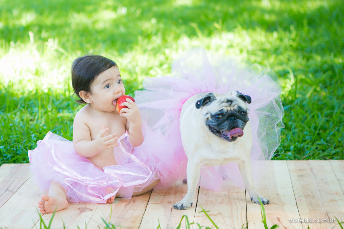bebe e cachorro de saia comendo maça